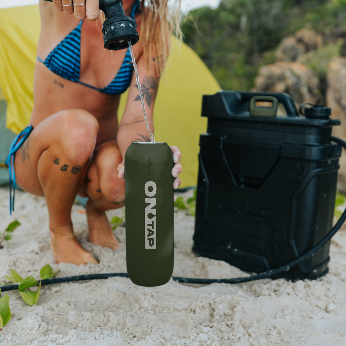 ONTAP ROAM™